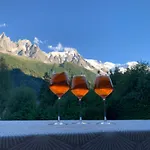 شاليه Le Point De Vue شامونكس